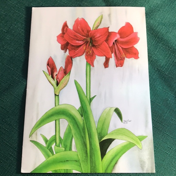 Beautiful 1985 Christmas Amaryllis Print - C.Foret - Picture 4 of 6
